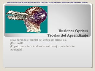 Ilusiones Ópticas Teorías del Aprendizaje Estás mirando el animal del dibujo de arriba, ok.  ¿Pero cuál?  ¿El pato que mira a tu derecha o el conejo que mira a tu izquierda? Estás mirando el animal del dibujo de arriba, de acuerdo. ¿Pero cuál?  ¿El pato que mira a tu derecha o el conejo que mira a tu izquierda? Estás mirando el animal del dibujo de arriba, de acuerdo. ¿Pero cuál?  ¿El pato que mira a tu derecha o el conejo que mira a tu izquierda? 