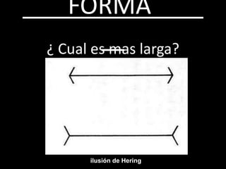 FORMA
¿ Cual es mas larga?
ilusión de Hering