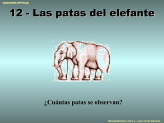 12 - Las patas del elefante ¿Cuántas patas se observan? 