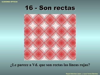 16 - Son rectas ¿Le parece a Vd. que son rectas las líneas rojas? 