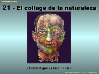 21 -  El collage de la naturaleza ¿Verdad que es fascinante? 