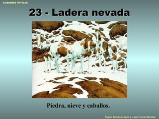 23 - Ladera nevada Piedra, nieve y caballos. 