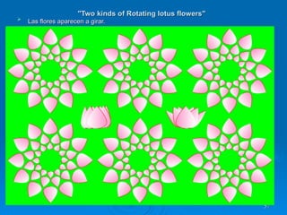 "Two kinds of Rotating lotus flowers"   Las flores aparecen a girar.   