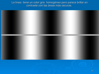 La línea  tiene un color gris  homogéneo pero parece brillar en contraste con las áreas más oscuras.  