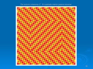 The autumn colswamp 2“.  El cuadrado interior parece moverse 