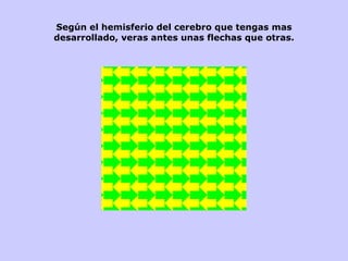 Según el hemisferio del cerebro que tengas mas desarrollado, veras antes unas flechas que otras. 