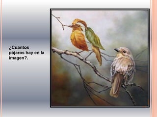 ¿Cuantos
pájaros hay en la
imagen?.
 