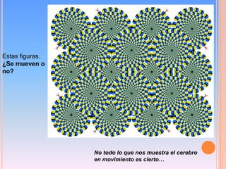 Estas figuras.
¿Se mueven o
no?




                 No todo lo que nos muestra el cerebro
                 en movimiento es cierto…
 