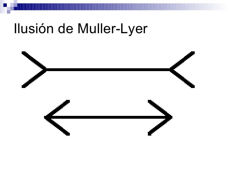 Ilusiones Opticas Muller Lyer | ilusiones 243 pticas Ilusiones Opticas Muller Lyer | ilusiones 243 pticas