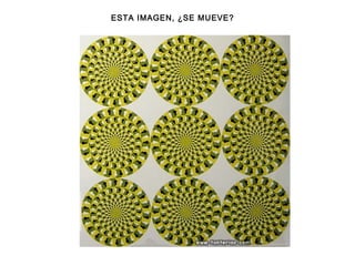 ESTA IMAGEN, ¿SE MUEVE?
 