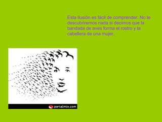Esta ilusión es fácil de comprender. No te descubriremos nada si decimos que la bandada de aves forma el rostro y la cabellera de una mujer.  