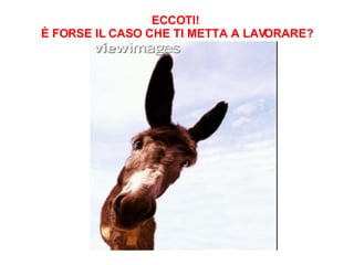 ECCOTI!  È FORSE IL CASO CHE TI METTA A LAVORARE?                                    