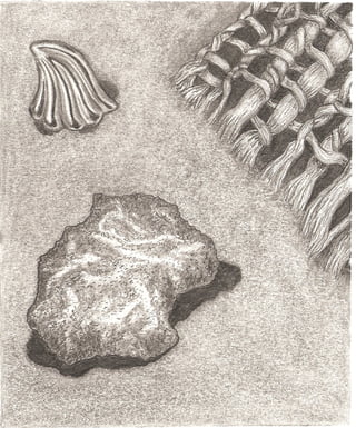 Detail of three textures #2 | PDF
