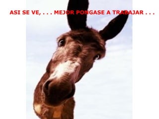 ASI SE VE, . . . MEJOR PONGASE A TRABAJAR . . . 