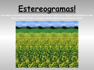 Estereogramas!
Este efeito é possível graças ao efeito estereocóspico onde para a imagem capitadada por cada
olho, o cérebro “funde” as imagens dando efeitos tridimencionais a visão.
 