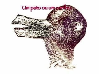 Um pato ou um coelho. 