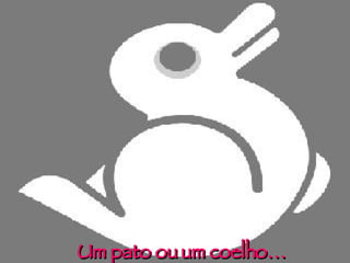 Um pato ou um coelho… 