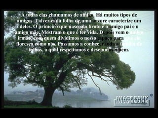 A todas elas chamamos de ami go. Há muitos tipos de  amigos. Talvez cada folha de uma  arvore caracterize um  deles. O primeiro que nasce do broto é o  amigo pai e o  amigo mãe. Mostram o que é ter vida. D epois vem o  amigo irmão, com quem dividimos o nosso  espaço para  que ele floresça como nós. Passamos a conhec er toda a  família de folhas, a qual respeitamos e desejam os o bem. 