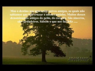 Mas o destino nos apresenta outros amigos, os quais não sabíamos que iam cruzar o nosso caminho. Muitos desses denominamos amigos do peito, do coração. São sinceros, são verdadeiros. Sabem o que nos faz feliz ..... 