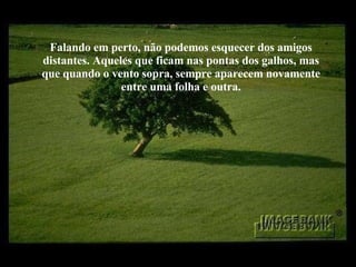 Falando em perto, não podemos esquecer dos amigos distantes. Aqueles que ficam nas pontas dos galhos, mas que quando o vento sopra, sempre aparecem novamente entre uma folha e outra. 