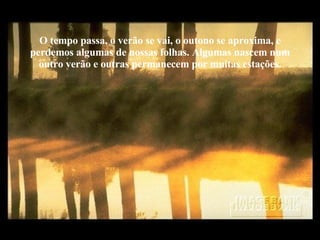 O tempo passa, o verão se vai, o outono se aproxima, e perdemos algumas de nossas folhas. Algumas nascem num outro verão e outras permanecem por muitas estações. 