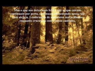 Mas o que nos deixa mais feliz e que as que caíram continuam por perto, continuam alimentando nossa raiz com alegria. Lembranças de momentos maravilhosos enquanto cruzavam com o nosso caminho. 