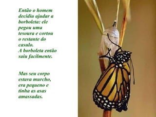 Então o homem decidiu ajudar a borboleta: ele pegou uma tesoura e cortou o restante do casulo. A borboleta então saiu facilmente. Mas seu corpo estava murcho, era pequeno e tinha as asas amassadas. 