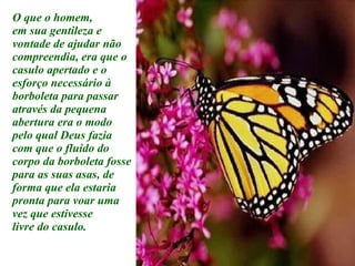 O que o homem, em sua gentileza e  vontade de ajudar não compreendia, era que o casulo apertado e o esforço necessário à borboleta para passar através da pequena abertura era o modo pelo qual Deus fazia com que o fluido do corpo da borboleta fosse para as suas asas, de forma que ela estaria pronta para voar uma vez que estivesse livre do casulo. 