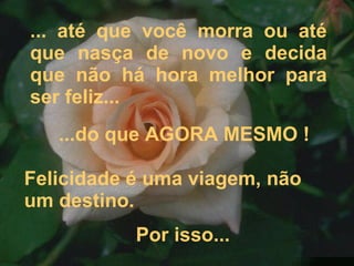 ... até que você morra ou até que nasça de novo e decida que não há hora melhor para ser feliz... ...do que AGORA MESMO ! Felicidade é uma viagem, não um destino.  Por isso... 