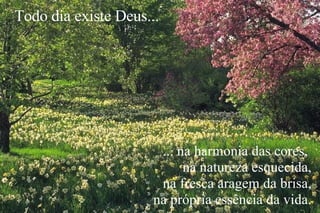 ... na harmonia das cores,  na natureza esquecida, na fresca aragem da brisa, na própria essência da vida. Todo dia existe Deus... 