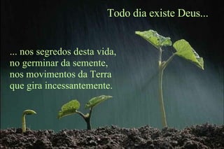... nos segredos desta vida, no germinar da semente, nos movimentos da Terra que gira incessantemente. Todo dia existe Deus... 