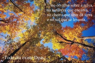 ... no orvalho sobre a relva, na natureza que encanta, no cheiro que vem da terra e no sol que se levanta. Todo dia existe Deus... 