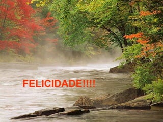 FELICIDADE!!!! 