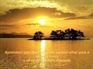 Aprendam que duas pessoas podem olhar para a mesma coisa e vê-la de maneira diferente 