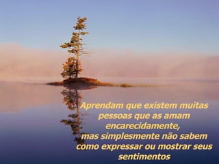 Aprendam que existem muitas pessoas que as amam encarecidamente,  mas simplesmente não sabem como expressar ou mostrar seus sentimentos 