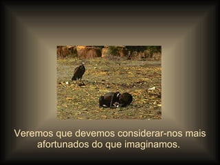 Veremos que devemos considerar-nos mais afortunados do que imaginamos.  