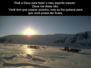 Pedi a Deus para fazer o meu espírito crescer.  Deus me disse não. Você tem que crescer sozinho, mas eu lhe podarei para que você possa dar frutos. 