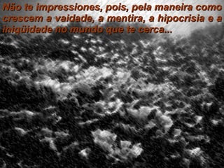 Não te impressiones, pois, pela maneira como crescem a vaidade, a mentira, a hipocrisia e a iniqüidade no mundo que te cerca... 
