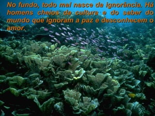 No fundo, todo mal nasce da ignorância. Há homens cheios da cultura e do saber do mundo que ignoram a paz e desconhecem o amor. 