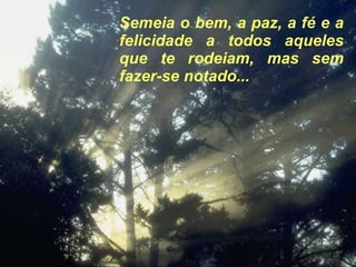 Semeia o bem, a paz, a fé e a felicidade a todos aqueles que te rodeiam, mas sem fazer-se notado... 