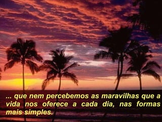 ... que nem percebemos as maravilhas que a vida nos oferece a cada dia, nas formas mais simples. 