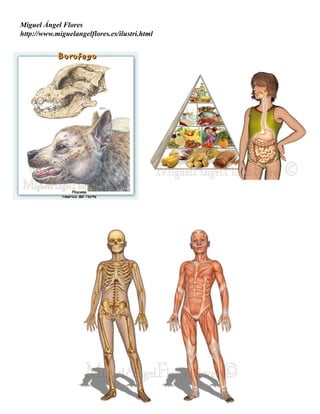 Miguel Ángel Flores
http://www.miguelangelflores.es/ilustri.html
 