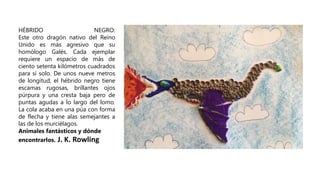 Haga clic para agregar
texto
HÉBRIDO NEGRO:
Este otro dragón nativo del Reino
Unido es más agresivo que su
homólogo Galés. Cada ejemplar
requiere un espacio de más de
ciento setenta kilómetros cuadrados
para sí solo. De unos nueve metros
de longitud, el hébrido negro tiene
escamas rugosas, brillantes ojos
púrpura y una cresta baja pero de
puntas agudas a lo largo del lomo.
La cola acaba en una púa con forma
de flecha y tiene alas semejantes a
las de los murciélagos.
Animales fantásticos y dónde
encontrarlos. J. K. Rowling
 