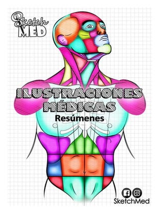Ilustraciones médicas resumenes.pdf