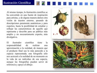Al mismo tiempo, la ilustración científica se
ha convertido en una fuente de inspiración
para artistas, y de alguna manera darnos otra
visión de nuestro entorno, pasando de
descripciones puramente anatómicas y para
expertos, hasta la posibilidad de estudiar y
reflejar las características de aquello que
representa y describe para un público más
amplio y no necesariamente experto, más
divulgativa.
El ilustrador científico tiene la
responsabilidad de realizar una
aproximación a la realidad, de manera que
el producto final sea lo más parecido a la
especie representada; una fotografía sólo
nos acercará a la realidad de un momento en
la vida de un individuo de esa especie,
aunque las fotografías pueden servir de
referencia y apoyo al dibujo.
 