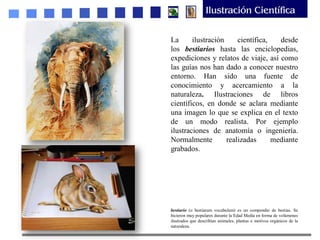 La ilustración científica, desde
los bestiarios hasta las enciclopedias,
expediciones y relatos de viaje, así como
las guías nos han dado a conocer nuestro
entorno. Han sido una fuente de
conocimiento y acercamiento a la
naturaleza. Ilustraciones de libros
científicos, en donde se aclara mediante
una imagen lo que se explica en el texto
de un modo realista. Por ejemplo
ilustraciones de anatomía o ingeniería.
Normalmente realizadas mediante
grabados.
bestiario (o bestiarum vocabulum) es un compendio de bestias. Se
hicieron muy populares durante la Edad Media en forma de volúmenes
ilustrados que describían animales, plantas o motivos orgánicos de la
naturaleza.
 