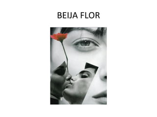 BEIJA FLOR 