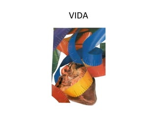 VIDA 