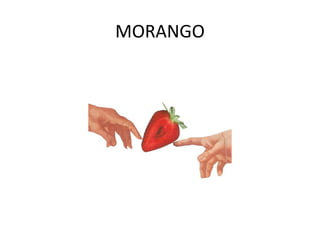 MORANGO 