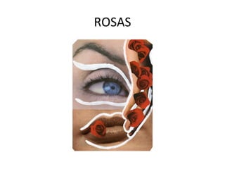 ROSAS 
